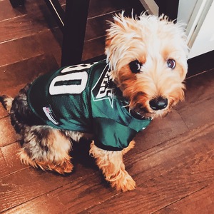 Fundraising Page: Shalene Zaucha